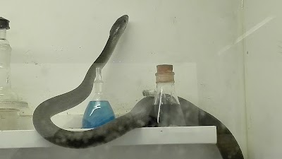 Photos of Terrariet Vissenbjerg