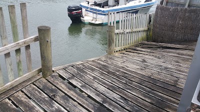 Photos of Wrens on Glenelg