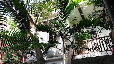 Photos of Casa Peter