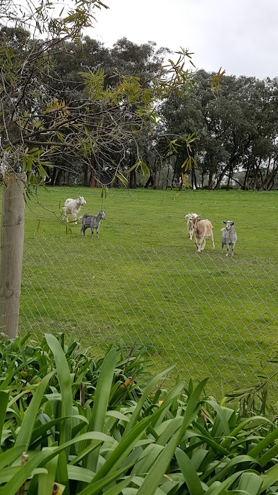 Photos of Warrandyte Berry Farm