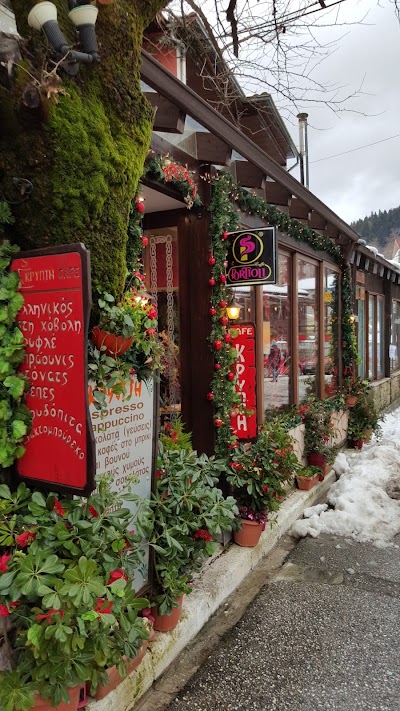 Photos of Grizzly Bear Coffee-Bar