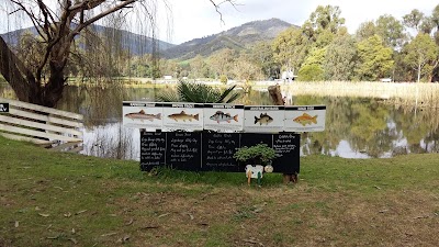 Photos of Eildon Trout Farm