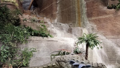 Photos of Arizona Museum of Natural History