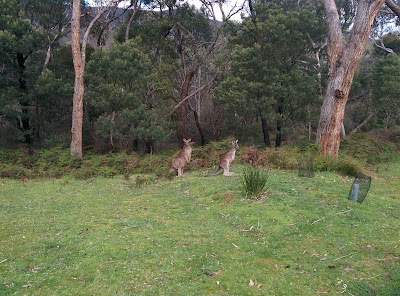 Photos of Wannon Crossing Campground