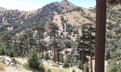 Photos of فندق شليا خنشلة