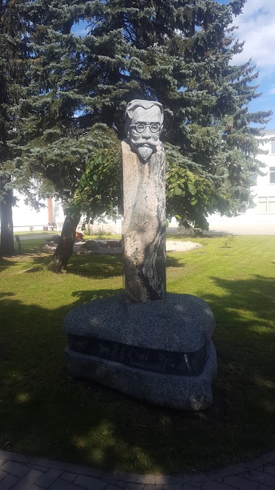 Photos of Jonava Jeronimas Ralys Gymnasium