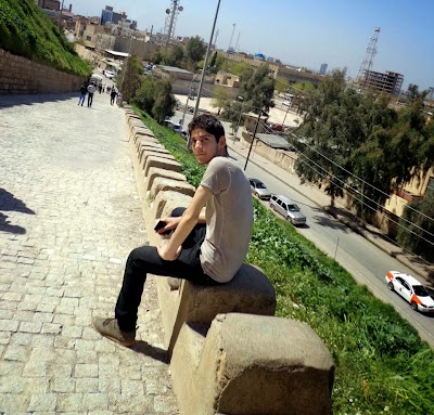 Photos of Mohammad Sharaf