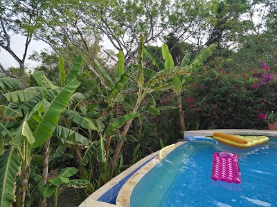 Photos of Nature Lodge Finca Los Caballos