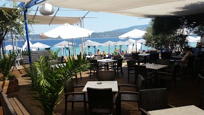 Photos of Island Beach Bar