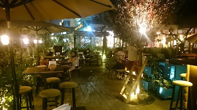 Photos of Rose - Pub