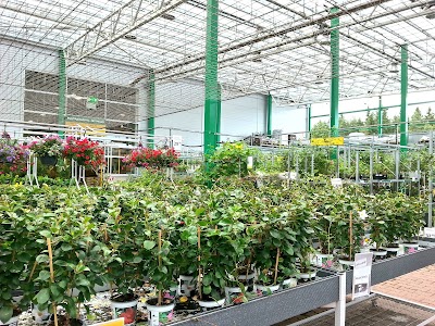hardware-store