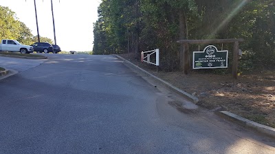 Photos of Chicopee Woods Bike Trails
