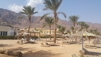 Photos of La Playa Beach Resort Taba