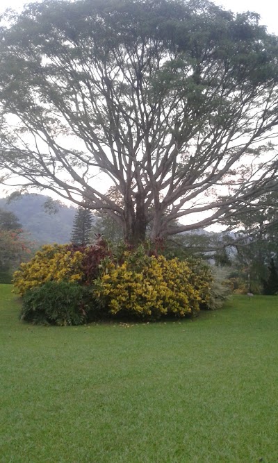 Photos of Finca El Zapote