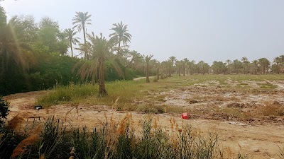 Photos of Adari Petrol Station