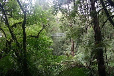 Photos of Apostles Camping Park & Cabins