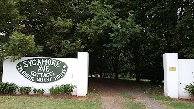 Photos of Sycamore Avenue Treehouses