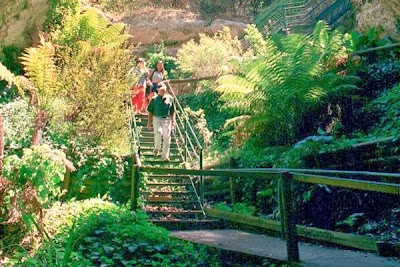 Photos of Engelbrecht Cave