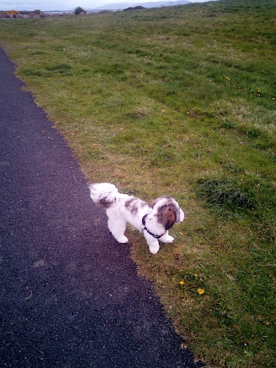Photos of Ballyloughane Beach