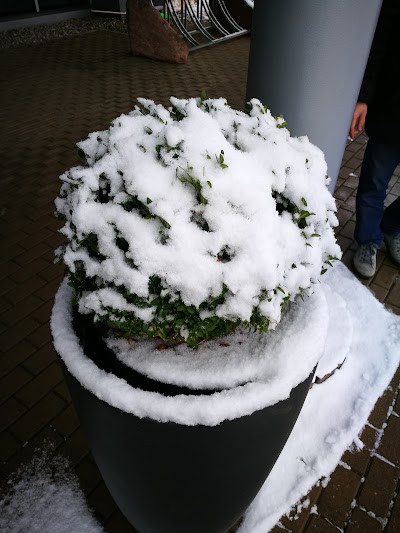Photos of Jaunbūmaņi