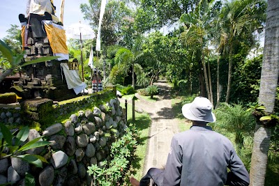 photo of Elephant Safari Park Lodge Bali
