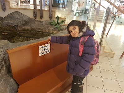 Photos of City Center Amstetten