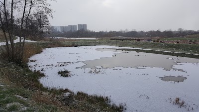 Photos of Varde Miniby