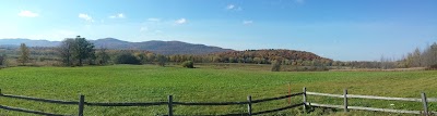 Photos of Pomainville WMA