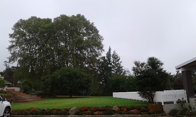 Photos of Notting Hill Lodge