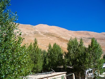 Photos of مطعم البحيرة