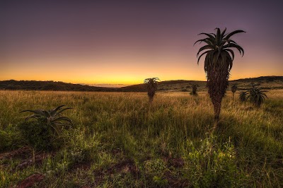 Photos of Kube Yini Private Game Reserve