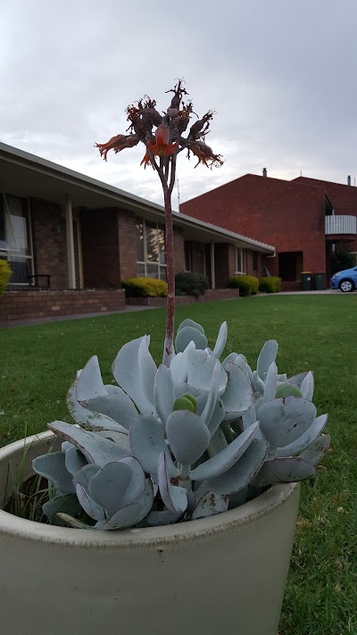 Photos of Apollo Bay Backpackers Lodge