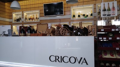 Photos of Cricova - Wine Shop