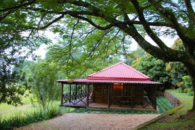 Photos of Bohm's Zeederberg Country House