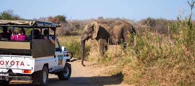 Photos of Hluhluwe Big 5 Safaris