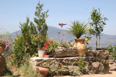 Photos of Dar Rihana