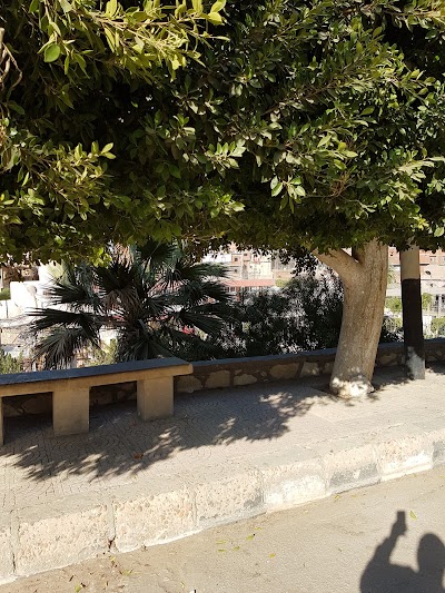 Photos of مخييم عين السليين