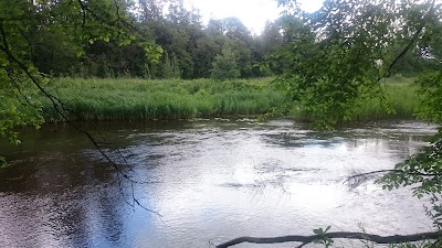 Photos of " Tru&scaron;u Karaliste" Lēdmanes Atpūtas Dabas Parks