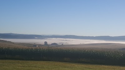 Photos of Blackbrook Farm