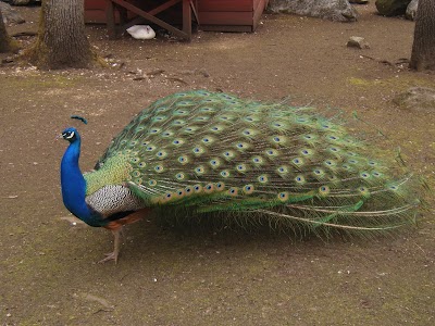 Photos of Beacon Hill Children's Farm