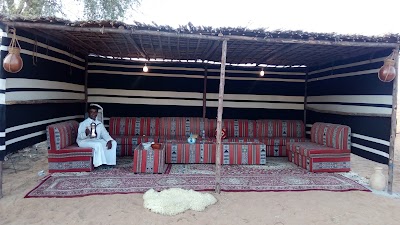 Photos of Bedouin Oasis
