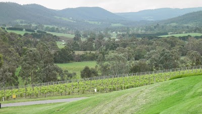 Photos of TarraWarra Museum of Art