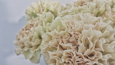 florist