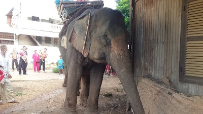 Photos of ផ្សារឆ្លូង