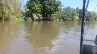 Photos of Estero Azul Lodge