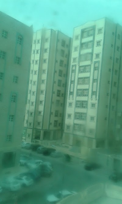 Photos of يوسف تامين