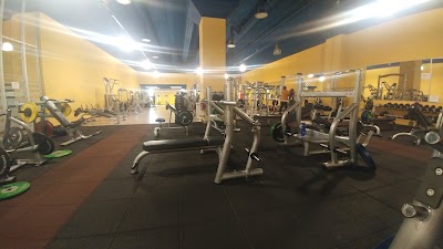 Photos of Fit For Free