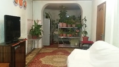 Photos of Guest House Europe