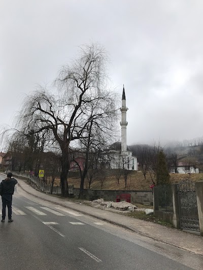 Photos of Centralna džamija