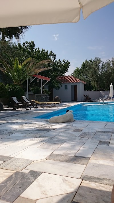 Photos of Theodora Hotel